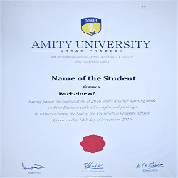 Bachelor of Arts(BA)Online Degree Course |Amity University Online